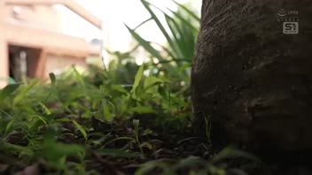 โมเอะ ซากากิบาระ แตกในญี่ปุ่น เอวีญี่ปุ่น เย็ดหีญี่ปุ่น เย็ดหี
